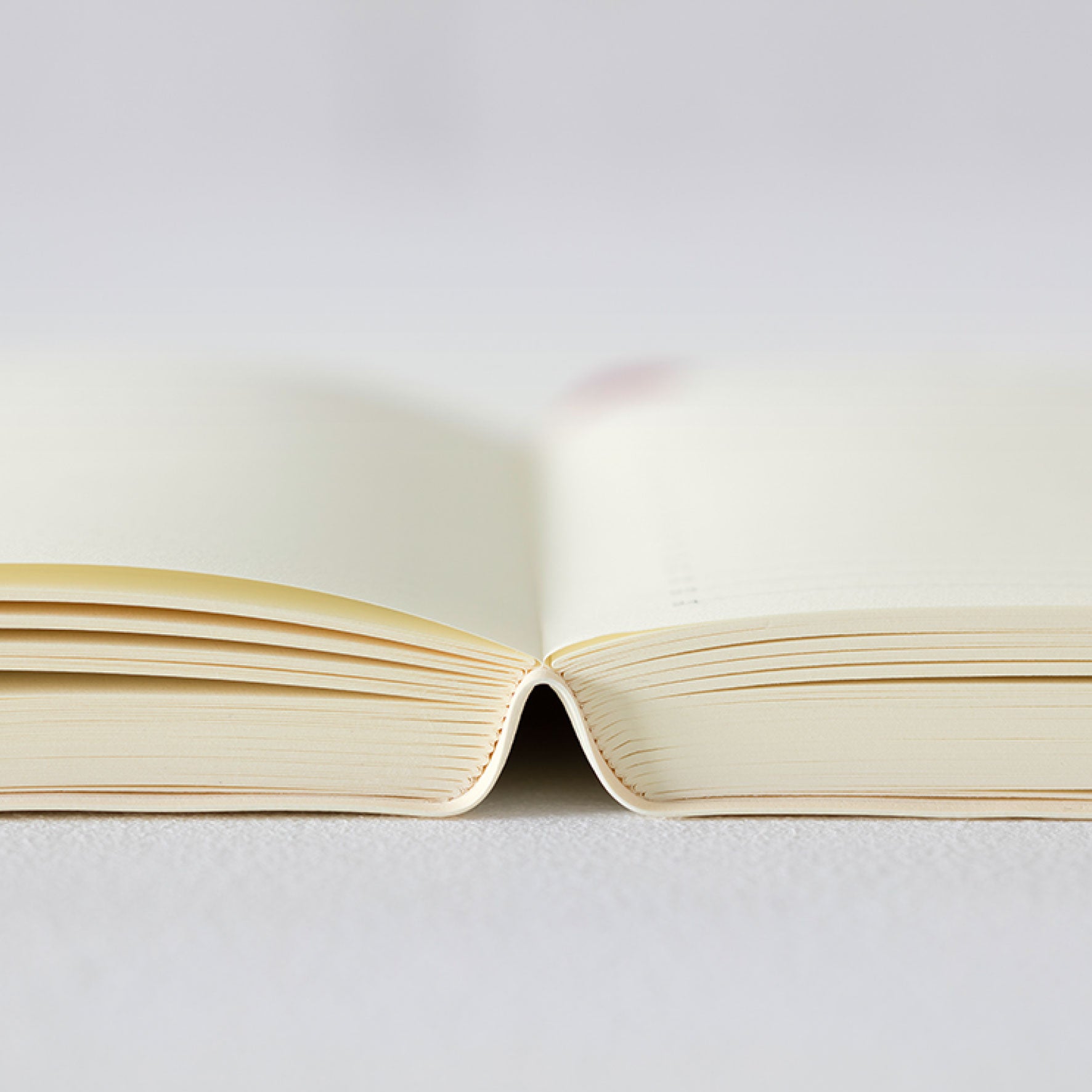 Midori - 2026 Diary - MD 1Day 1Page - A5