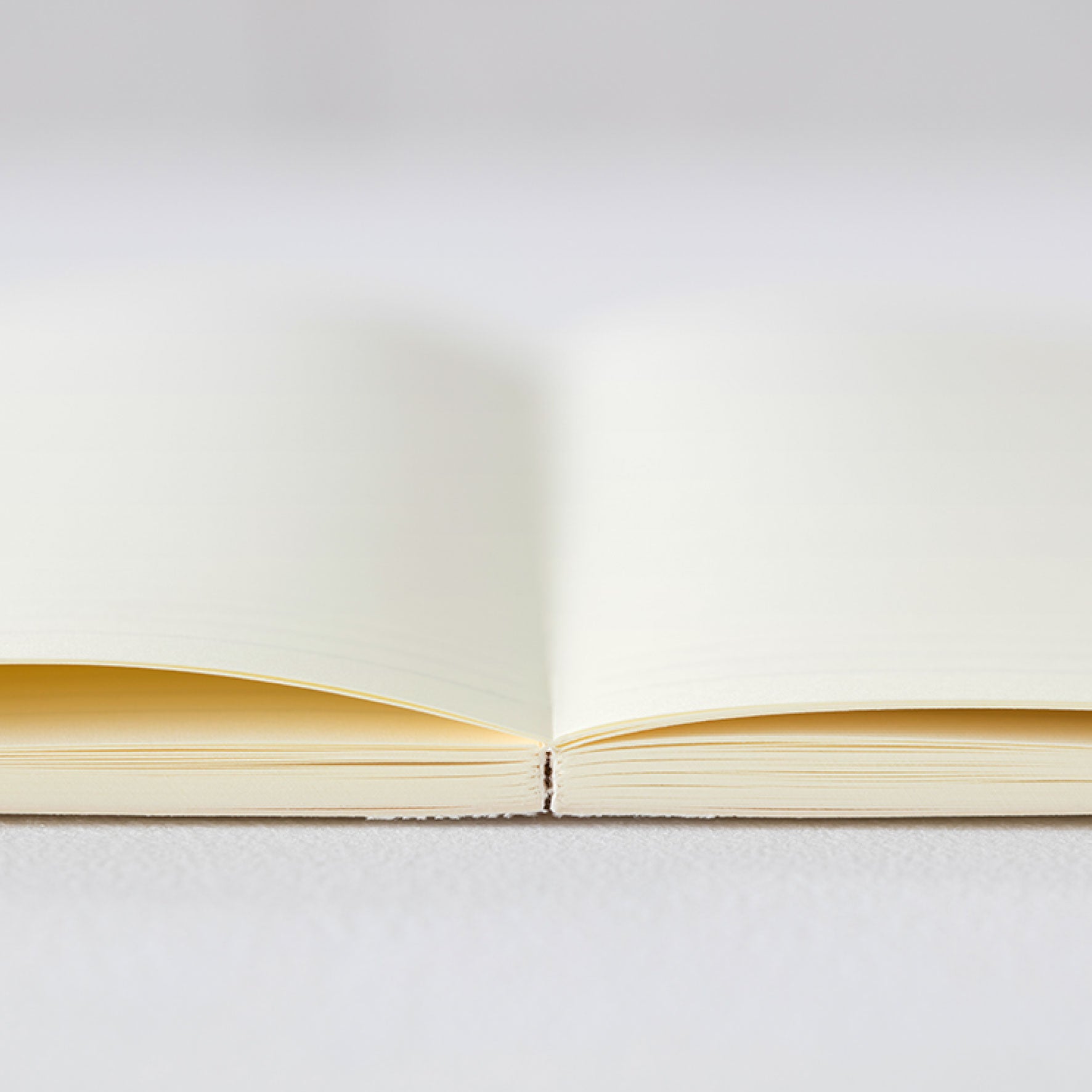 Midori - 2026 Diary - MD Notebook - A6