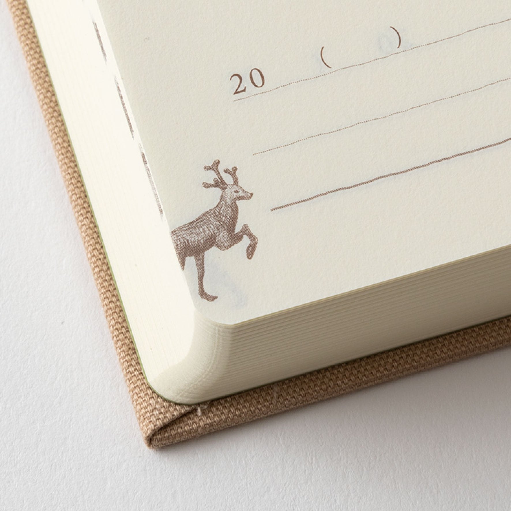 Midori - Daily Journal - Mini - 3 Years - Beige