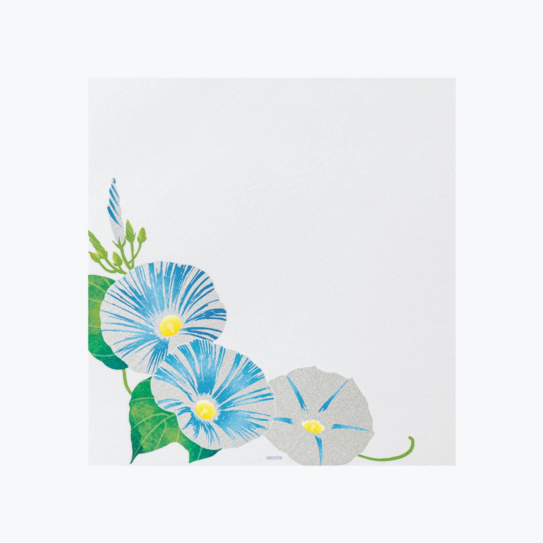 Midori - Letter Set - Kami - Morning Glory