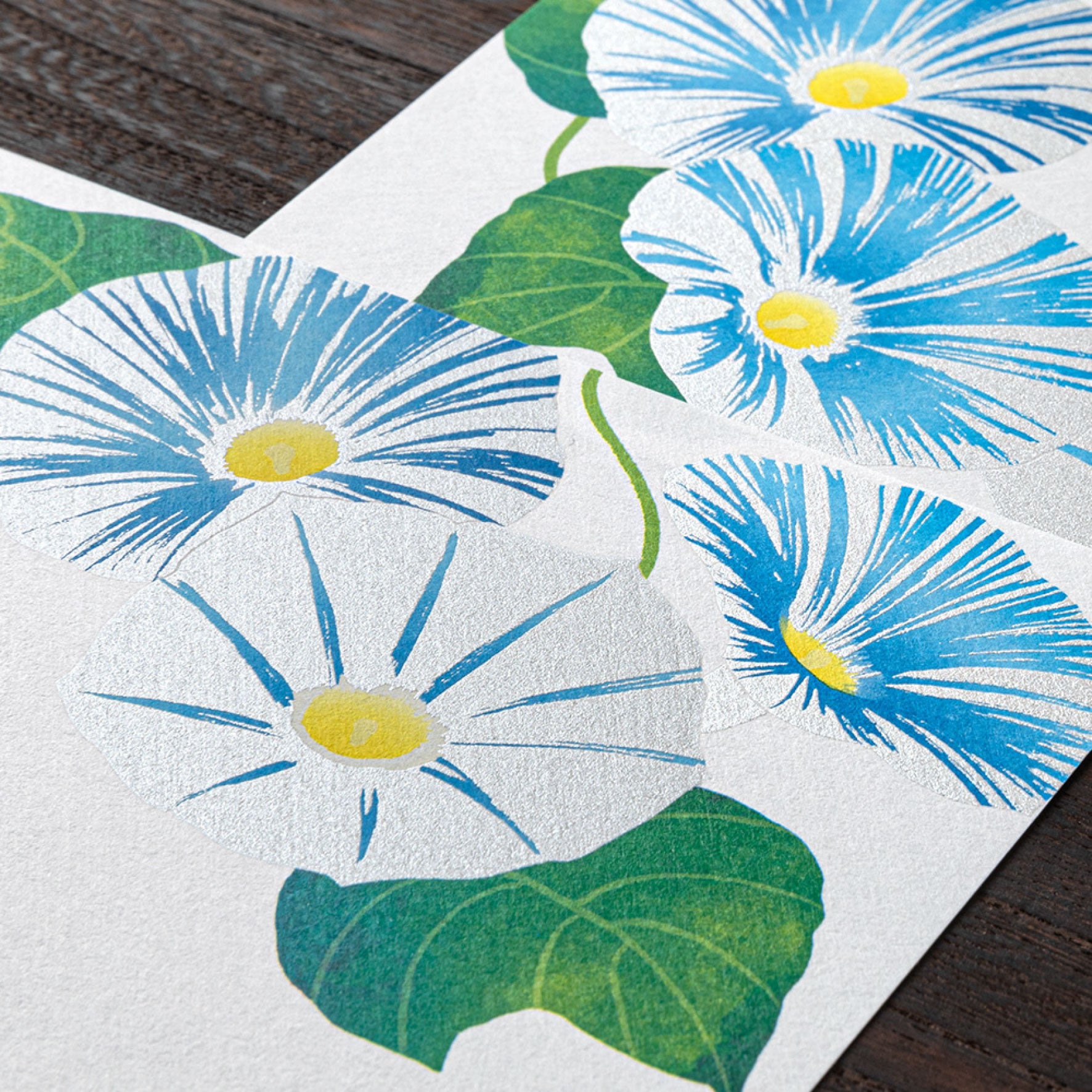 Midori - Letter Set - Kami - Morning Glory