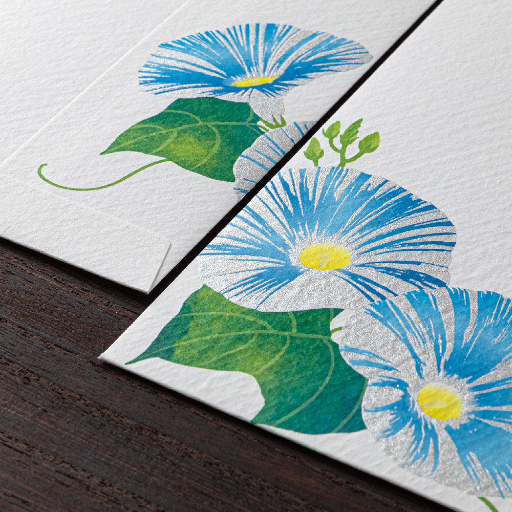 Midori - Letter Set - Kami - Morning Glory