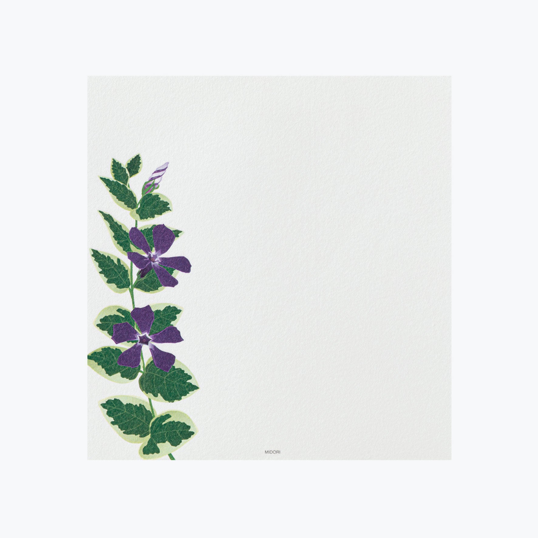 Midori - Letter Set - Kami - Summer Flowers