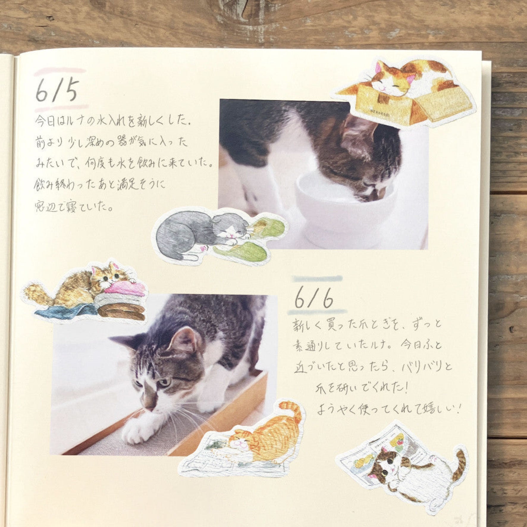 NB Japan - Planner Sticker - Flake Seal - Nekorobi - Aru Aru Cats