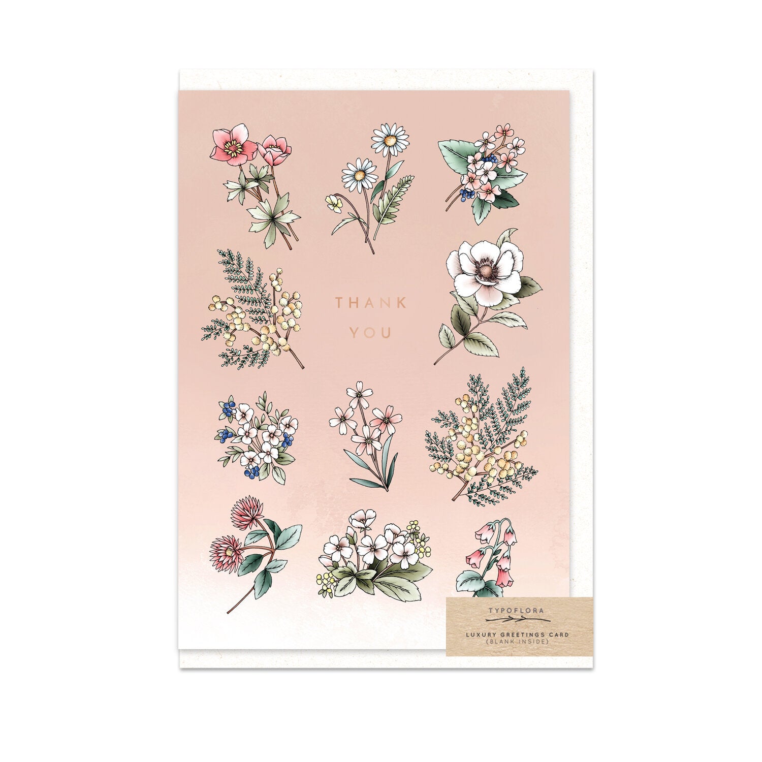 Blush Typoflora greeting card with a 'Thank you' message and wild flowers