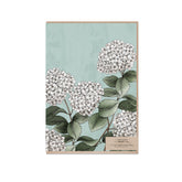 Typoflora card with hydrangea illustration