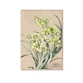 Typoflora greeting card featuring yellow orchid design on the front