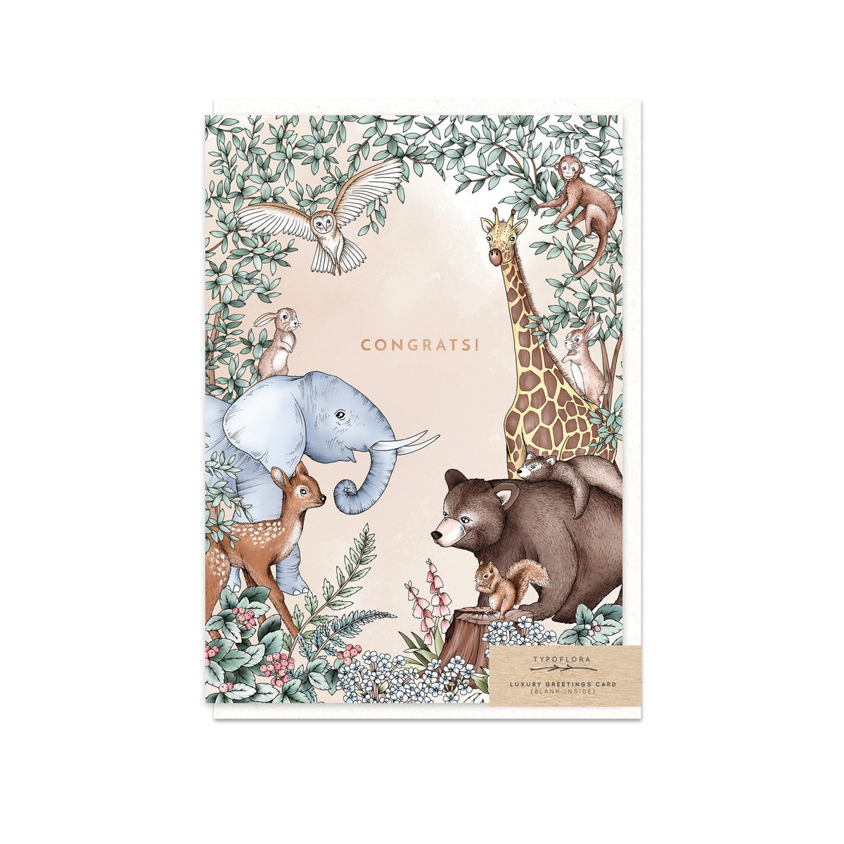Typoflora card featuring a 'Congrats' message and woodland animals illustrations on the front