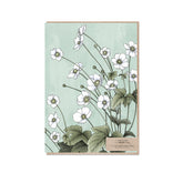Pale green Typoflora card with Japanese anemone flowers