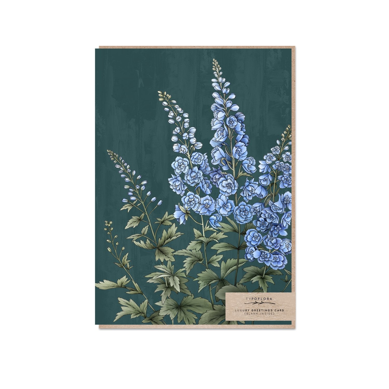 Typoflora greeting card with delphinium flowers against teal background printed on the front