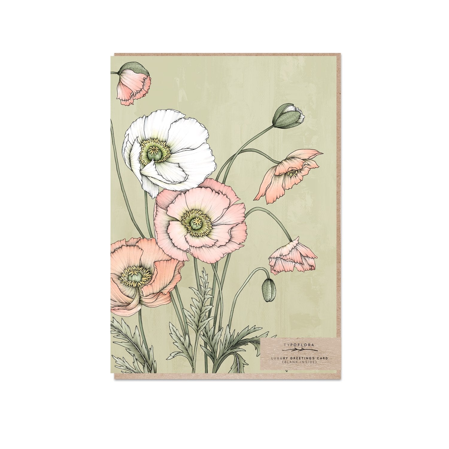 Typoflora greeting card with pale pink poppies against a green background printed on the front