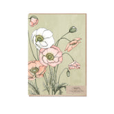 Typoflora greeting card with pale pink poppies against a green background printed on the front