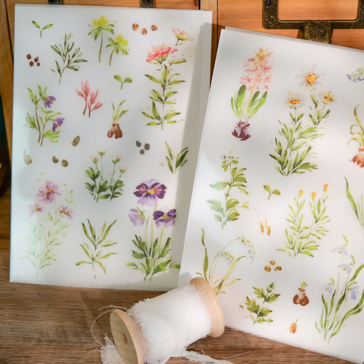 Meow Illustration - Planner Sticker - A Year Of Blossom