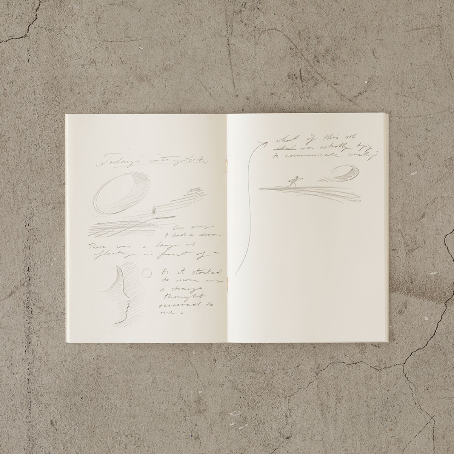 Midori - Notebook - MD Paper - Light - A4 - Blank <Outgoing>