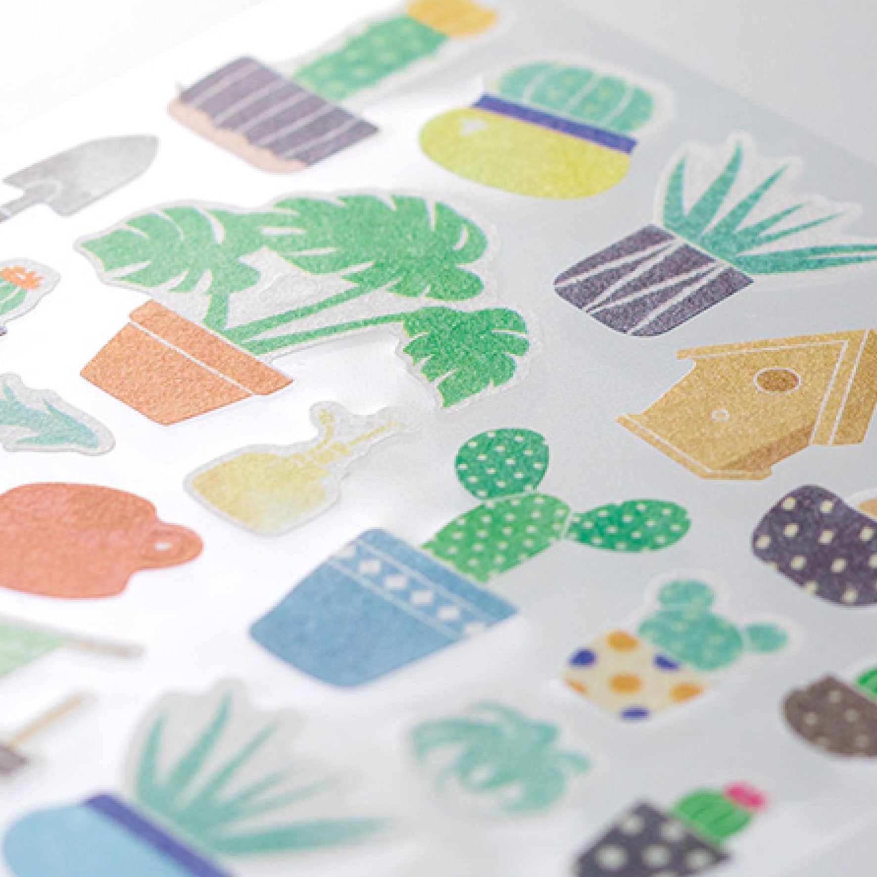 Midori - Sticker Seal - Sticker Marché - Cactus <Outgoing>
