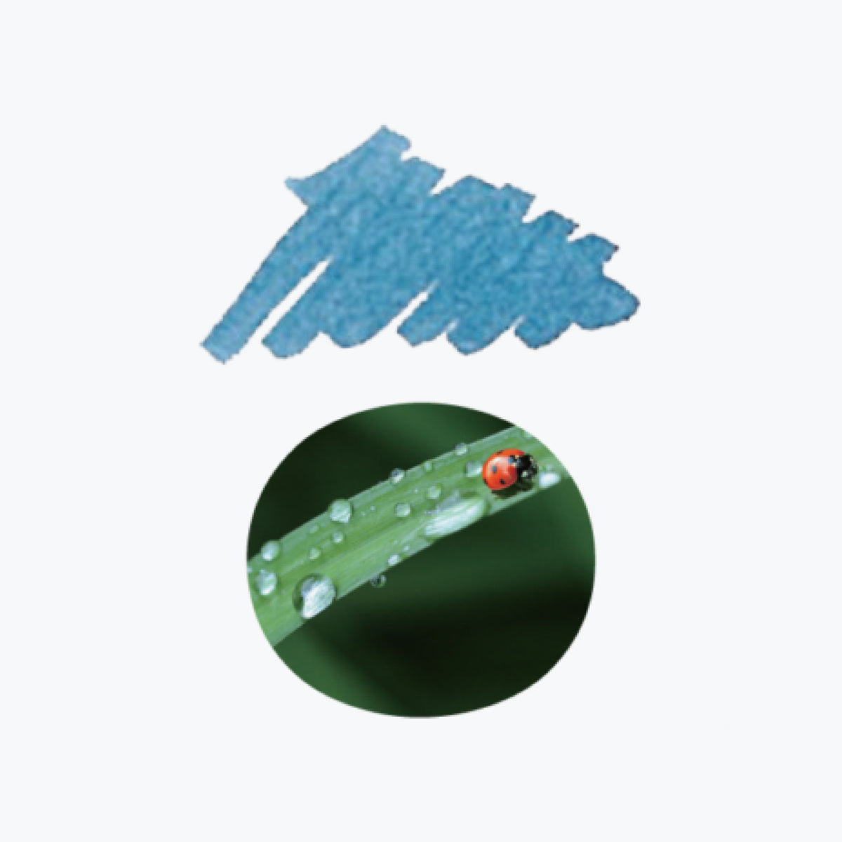 Sailor - Fountain Pen Ink - Cartridges - Shikiori (Sound of Rain) - Zaza