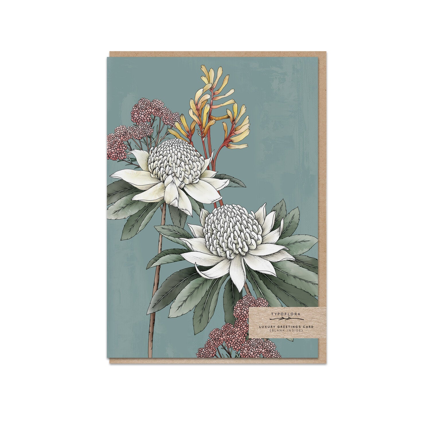 Typoflora card featuring waratah flowers against a muted blue background, printed on the front