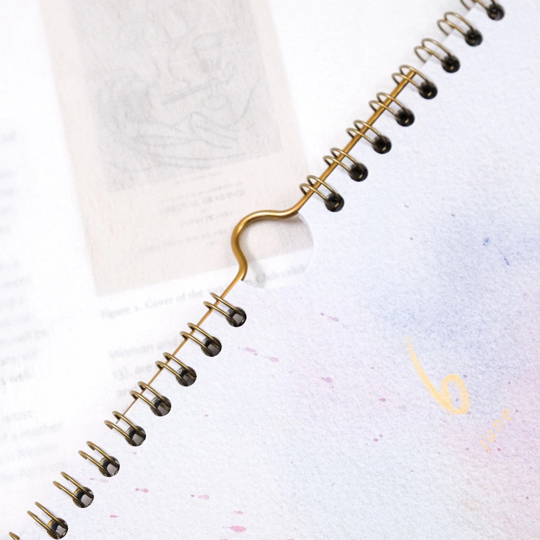 Dodolulu - 2026 Calendar - Monthly (A4)