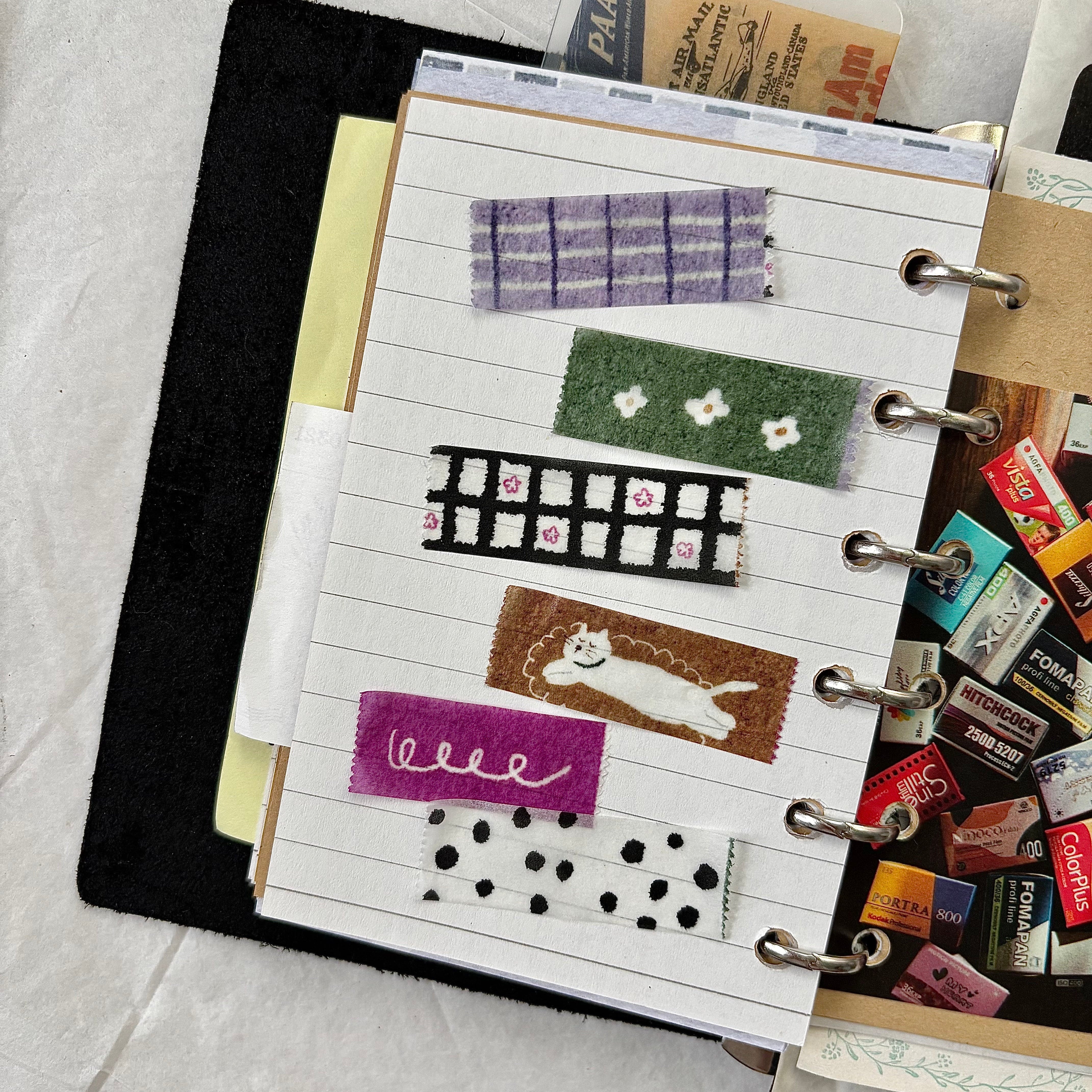 Pion - Washi Tape - Cat On The Rug