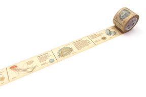 MT Masking Tape - Washi Tape - Encyclopedia Jellyfish