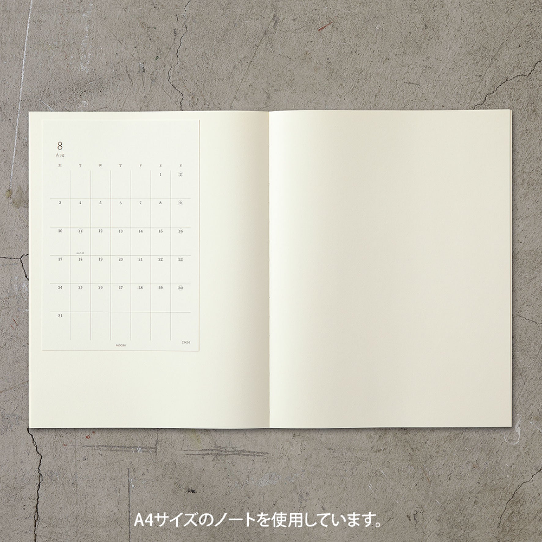 Midori - 2026 Diary - MD Diary Sticker [L]