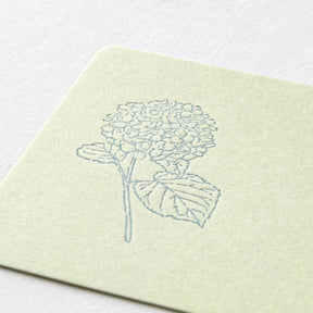 Midori - Card Set - Hanairo Washi - Green
