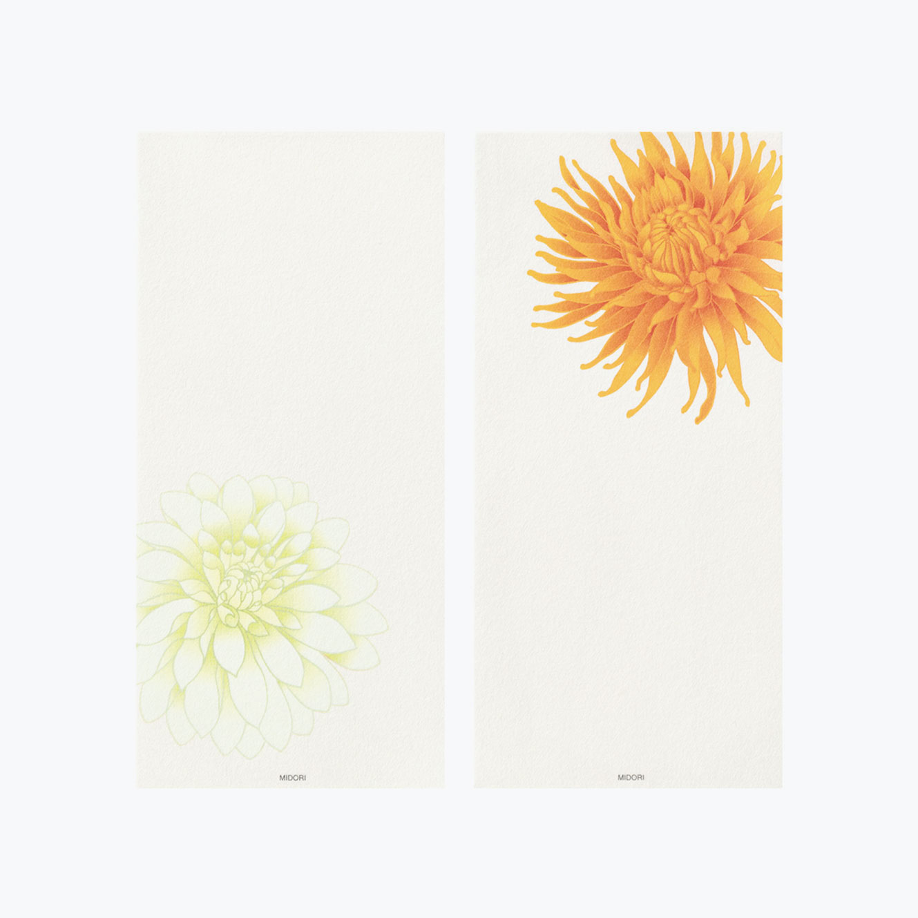 Midori - Letter Pad - Kami - Dahlia