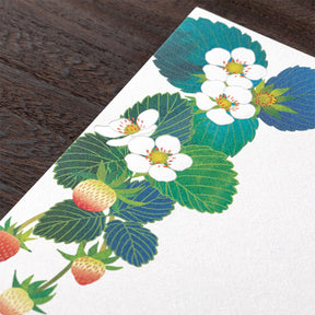 Midori - Letter Set - Kami - Strawberry