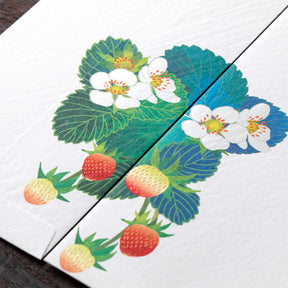Midori - Letter Set - Kami - Strawberry