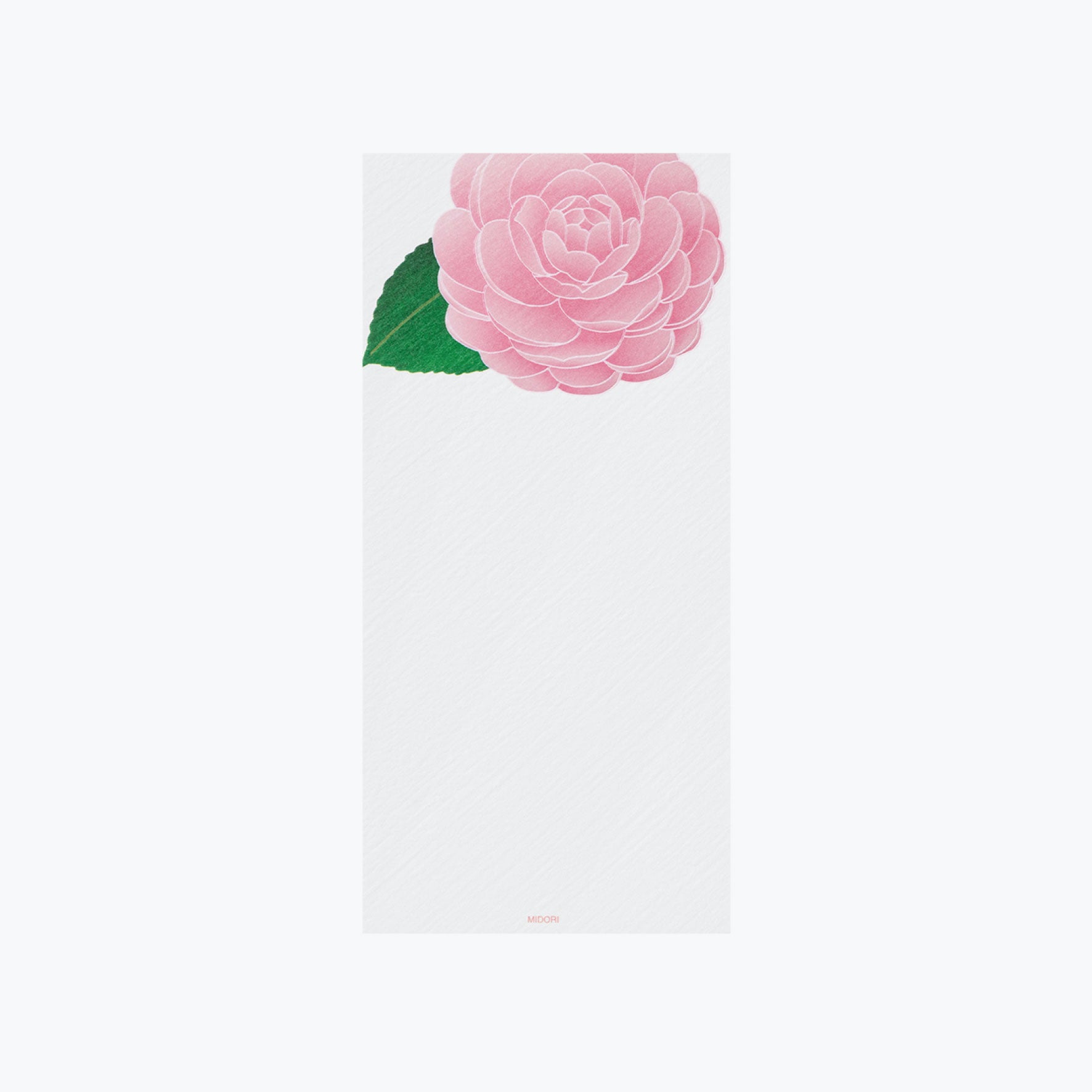 Midori - Letter Pad - Kami - Otome Camellia