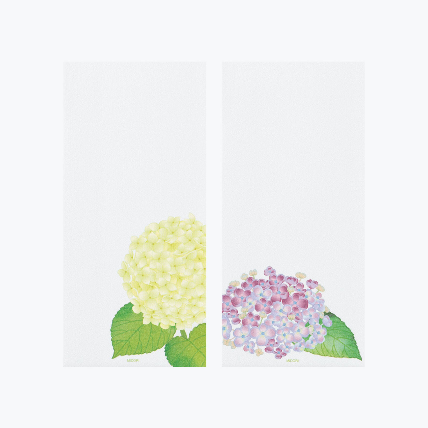 Midori - Letter Pad - Kami - Hydrangea