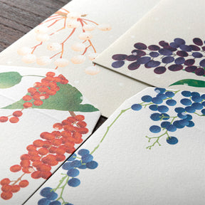 Midori - Letter Set - Kami - Winter Fruit