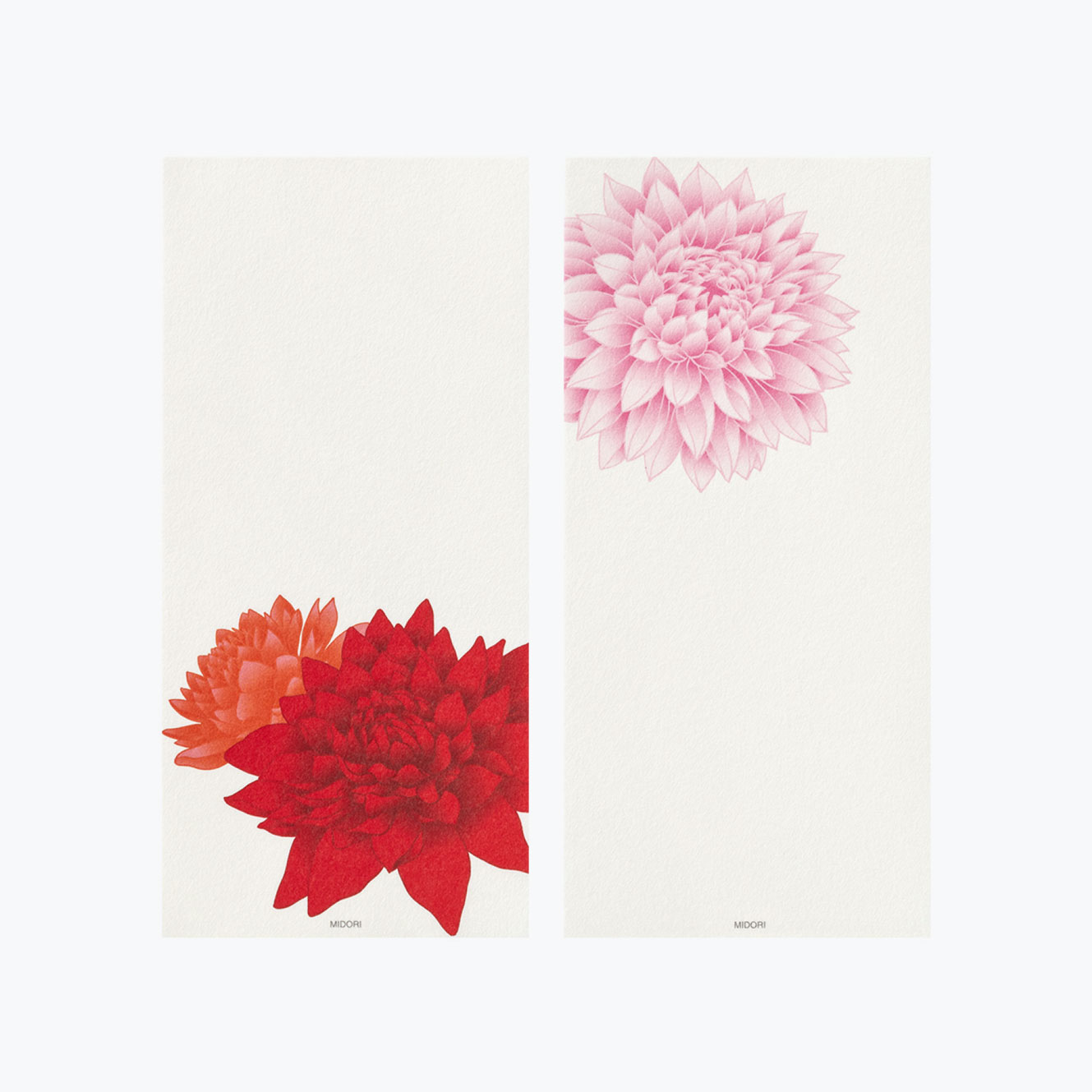 Midori - Letter Pad - Kami - Dahlia