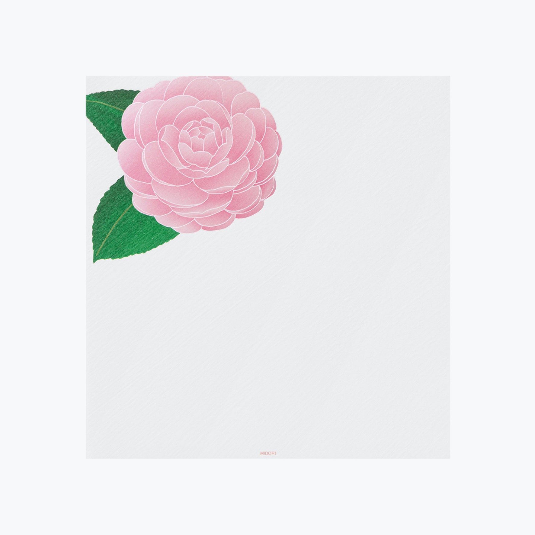 Midori - Letter Set - Kami - Otome Camellia