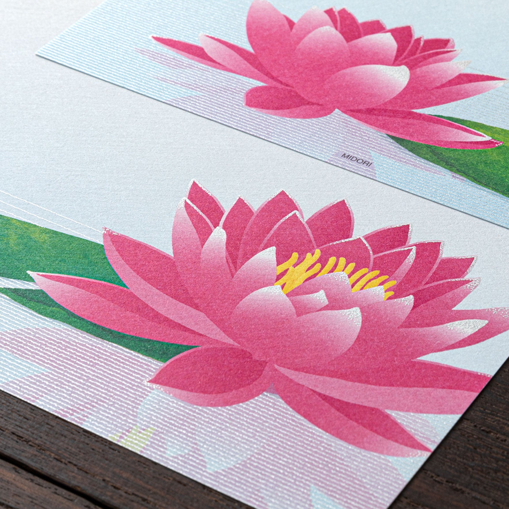 Midori - Letter Set - Kami - Water Lily Reflection