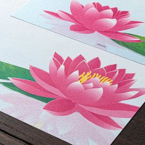 Midori - Letter Set - Kami - Water Lily Reflection