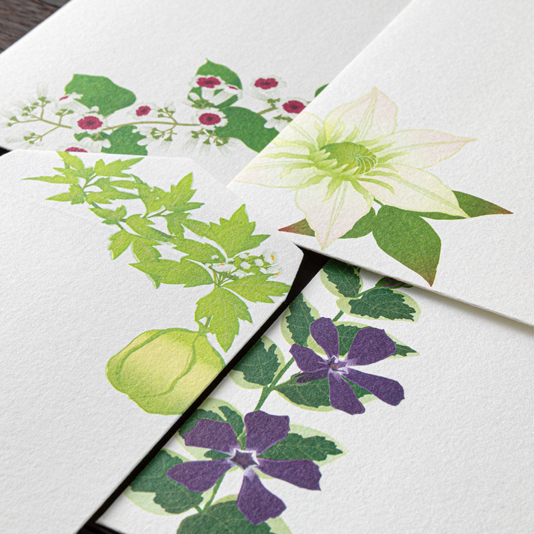Midori - Letter Set - Kami - Summer Flowers