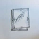 Classiky - Washi Paper - Toraneko Bonbon Cat Paper D