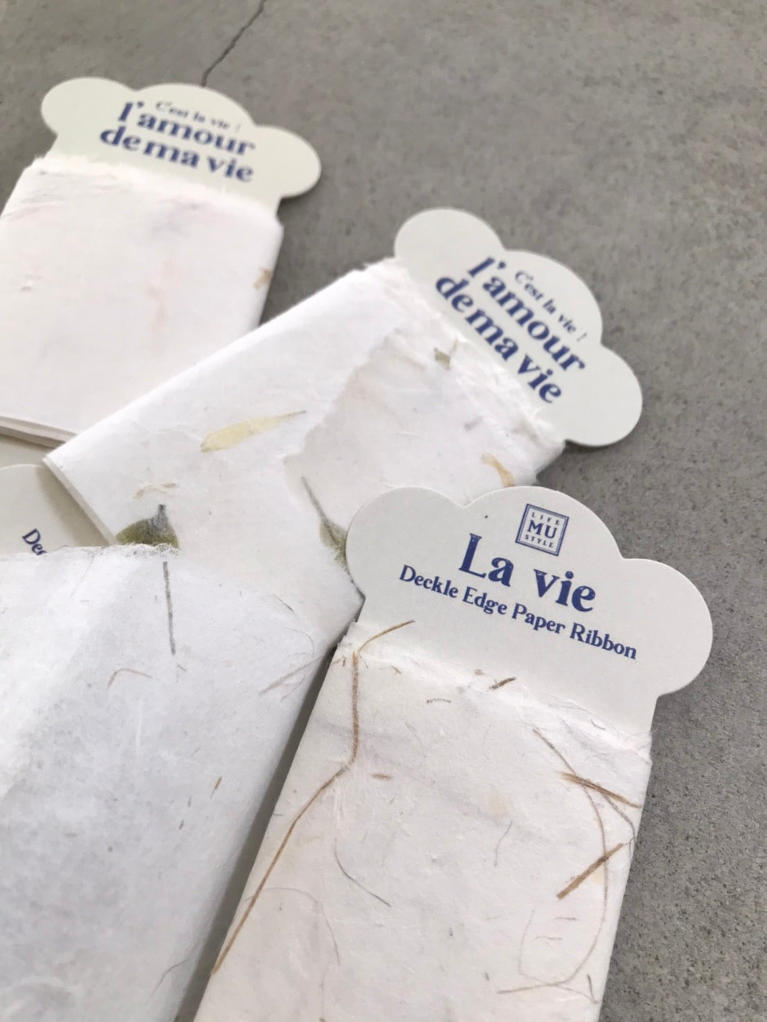 MU Lifestyle - Deckle Edge Paper Ribbon - #02 <Outgoing>