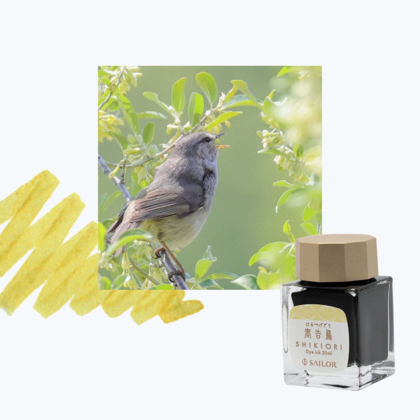 Sailor - Fountain Pen Ink - Shikiori (Noyama-no-uta) - Haru-tsuge-dori