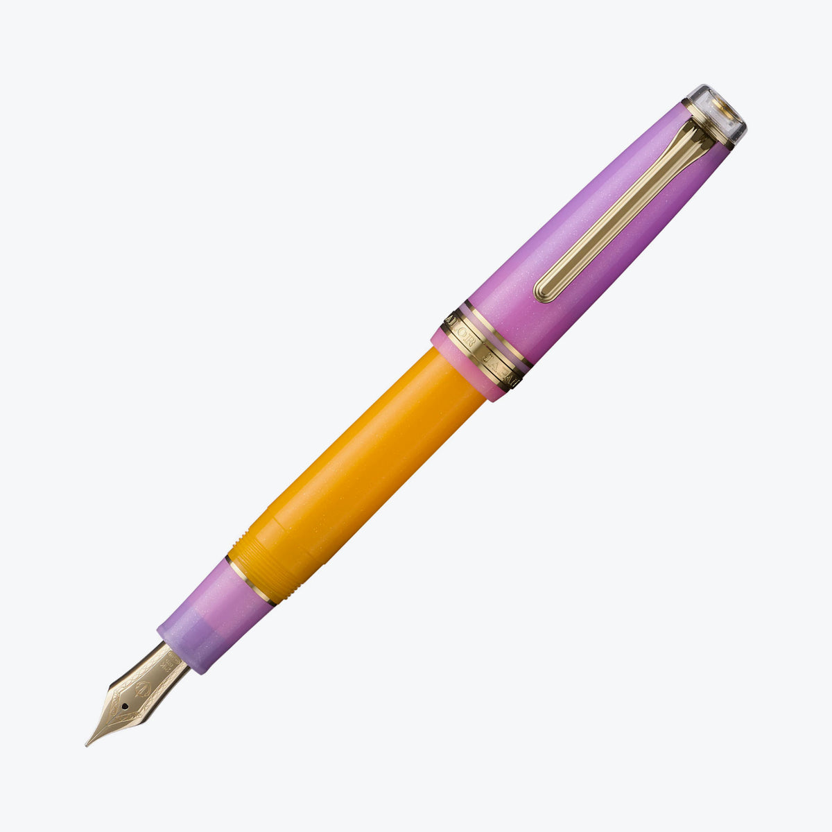 Sailor - Fountain Pen - ProGear - Smoothie #2 - Acai Berry