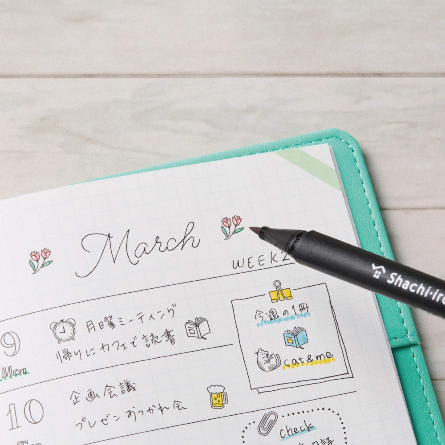 Shachihata - Stamp - Nototo 10 Exclusive - Blank Holder