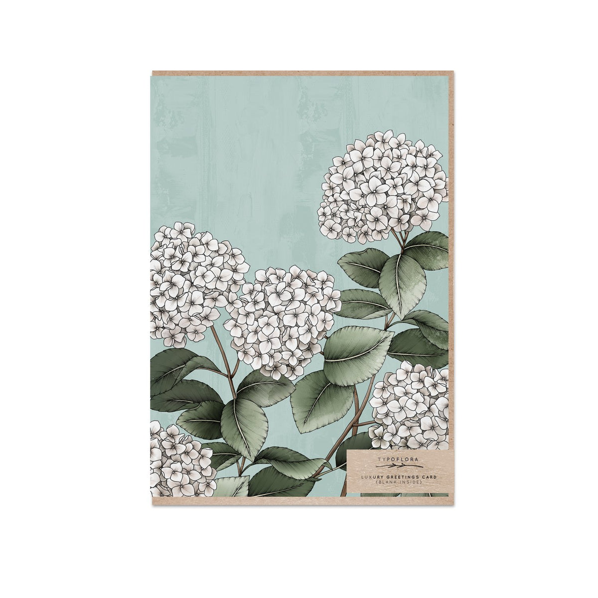 Typoflora - Card - Hydrangeas