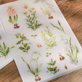 Meow Illustration - Planner Sticker - A Year Of Blossom