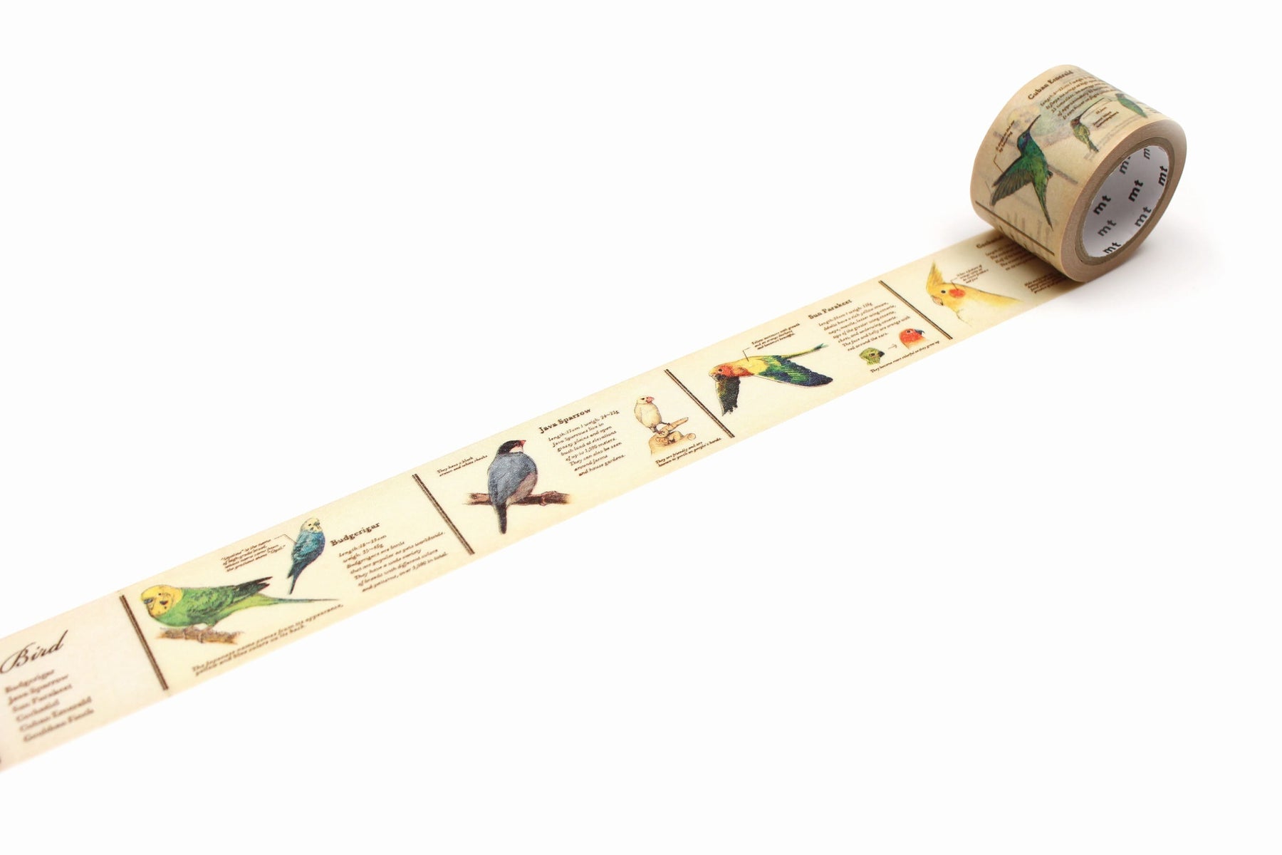 MT Masking Tape - Washi Tape - Encyclopedia Bird