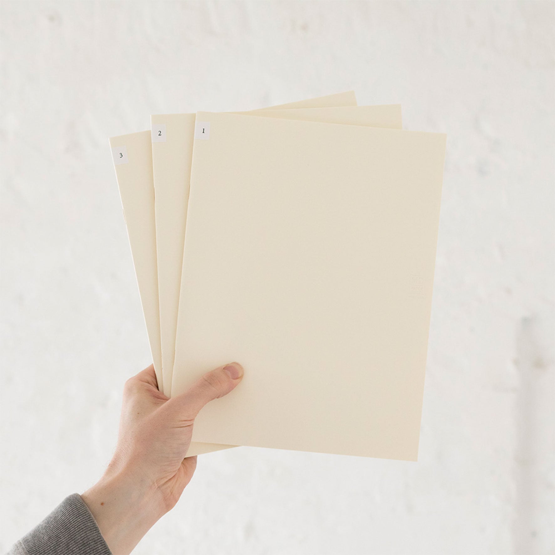 Midori - Notebook - MD Paper - Light - A4 - Blank <Outgoing>