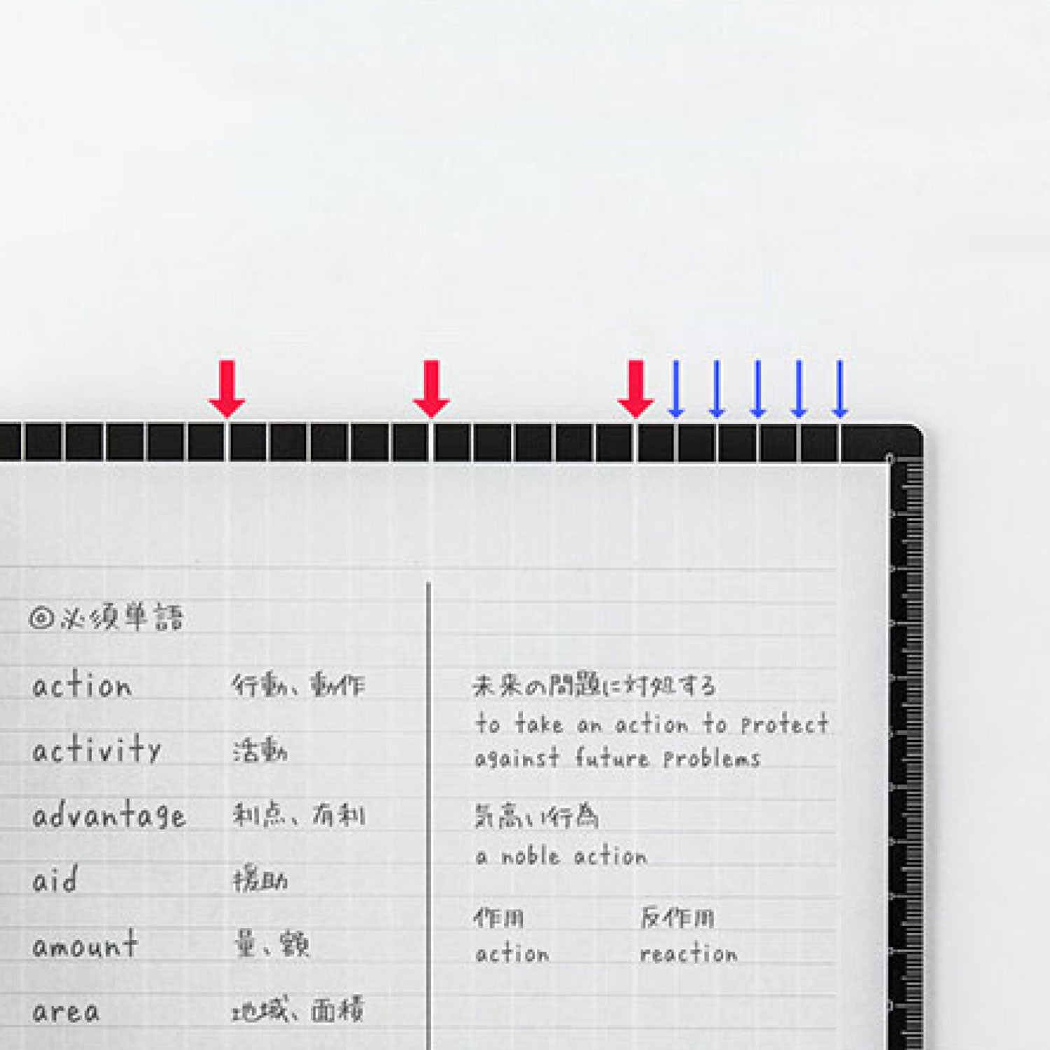 Midori - Pencil Board - B5 - Vertical Sections