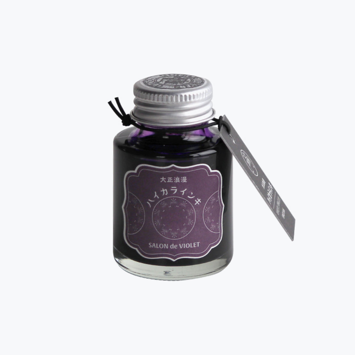 Teranishi - Fountain Pen Ink - Guitar Haikara - Salon de Violet